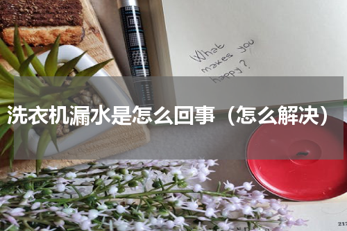 洗衣机漏水是怎么回事（怎么解决）