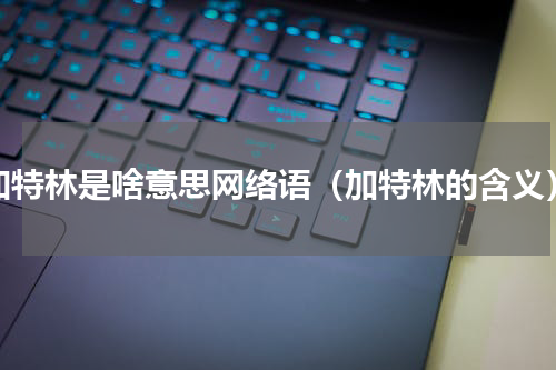 加特林是啥意思网络语（加特林的含义）