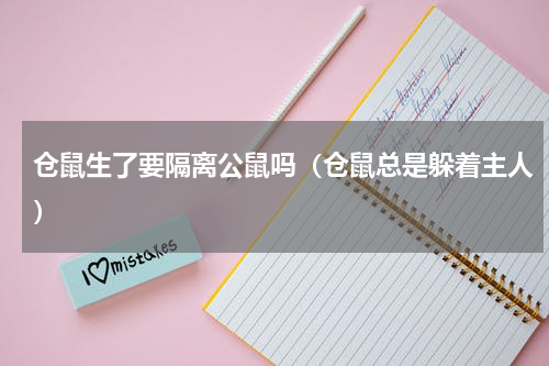 仓鼠生了要隔离公鼠吗（仓鼠总是躲着主人）