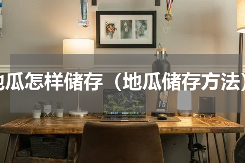 地瓜怎样储存（地瓜储存方法）