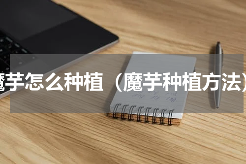 魔芋怎么种植（魔芋种植方法）