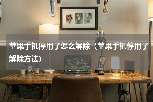 苹果手机停用了怎么解除（苹果手机停用了解除方法）