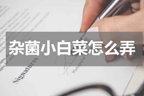 杂菌小白菜怎么弄