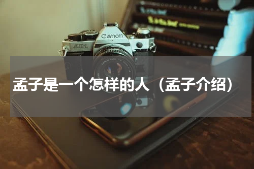 孟子是一个怎样的人（孟子介绍）