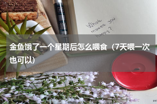 金鱼饿了一个星期后怎么喂食（7天喂一次也可以）