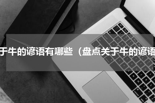 关于牛的谚语有哪些（盘点关于牛的谚语）