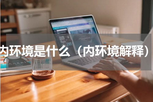 内环境是什么（内环境解释）