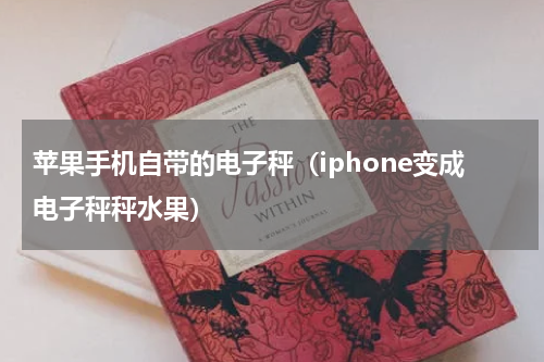 苹果手机自带的电子秤（iphone变成电子秤秤水果）