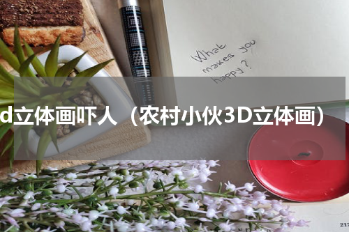 3d立体画吓人（农村小伙3D立体画）