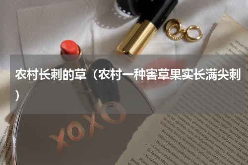 农村长刺的草（农村一种害草果实长满尖刺）