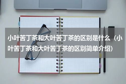 小叶苦丁茶和大叶苦丁茶的区别是什么（小叶苦丁茶和大叶苦丁茶的区别简单介绍）