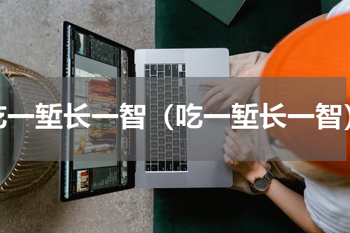 吃一堑长一智（吃一堑长一智）