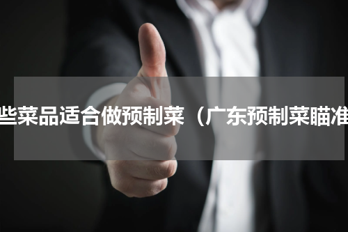 哪些菜品适合做预制菜（广东预制菜瞄准）