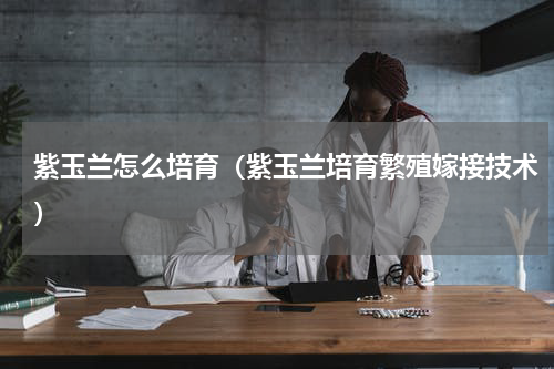 紫玉兰怎么培育（紫玉兰培育繁殖嫁接技术）