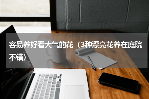 容易养好看大气的花（3种漂亮花养在庭院不错）