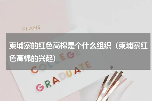 柬埔寨的红色高棉是个什么组织（柬埔寨红色高棉的兴起）