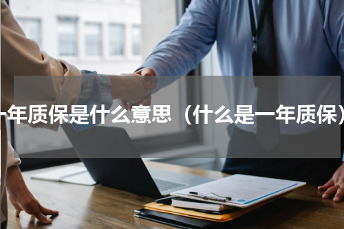 一年质保是什么意思（什么是一年质保）