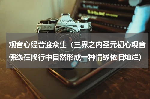 观音心经普渡众生（三界之内圣元初心观音佛缘在修行中自然形成一种情缘依旧灿烂）