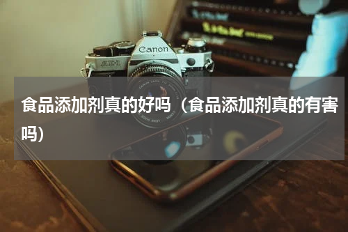 食品添加剂真的好吗（食品添加剂真的有害吗）