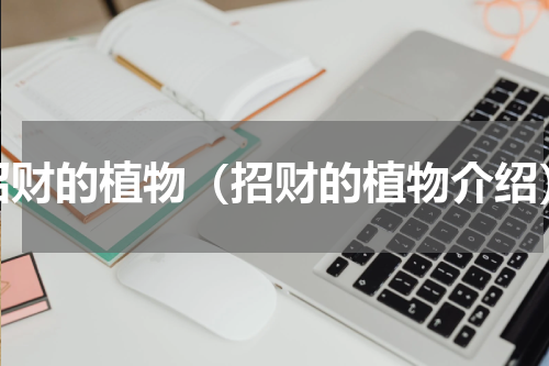 招财的植物（招财的植物介绍）