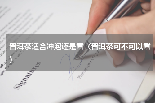普洱茶适合冲泡还是煮（普洱茶可不可以煮）