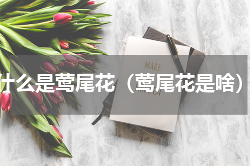 什么是莺尾花（莺尾花是啥）