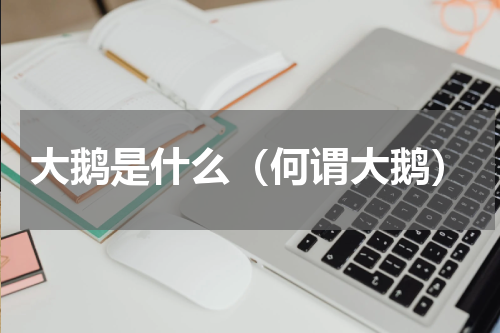 大鹅是什么（何谓大鹅）