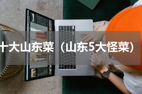 十大山东菜（山东5大怪菜）