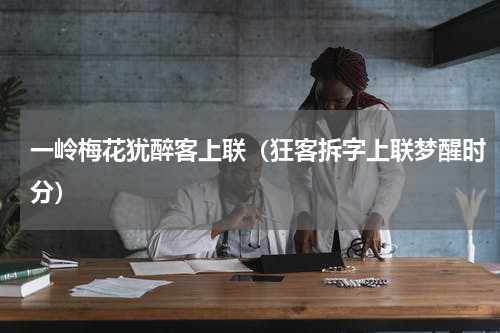 一岭梅花犹醉客上联（狂客拆字上联梦醒时分）