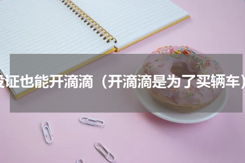 没证也能开滴滴（开滴滴是为了买辆车）