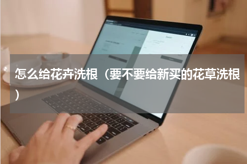 怎么给花卉洗根（要不要给新买的花草洗根）