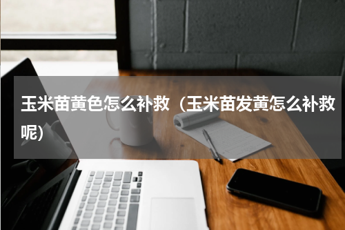 玉米苗黄色怎么补救（玉米苗发黄怎么补救呢）