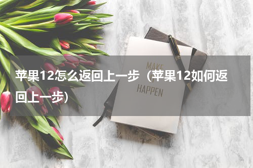 苹果12怎么返回上一步（苹果12如何返回上一步）