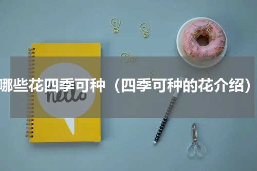 哪些花四季可种（四季可种的花介绍）