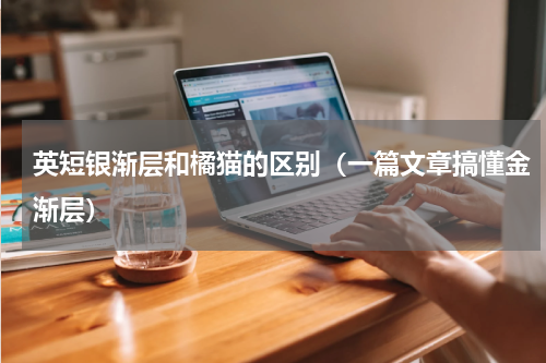英短银渐层和橘猫的区别（一篇文章搞懂金渐层）
