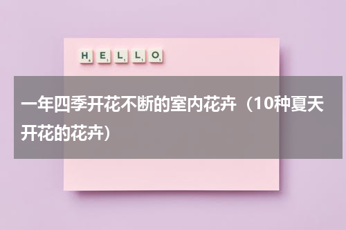 一年四季开花不断的室内花卉（10种夏天开花的花卉）