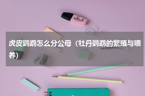 虎皮鹦鹉怎么分公母（牡丹鹦鹉的繁殖与喂养）