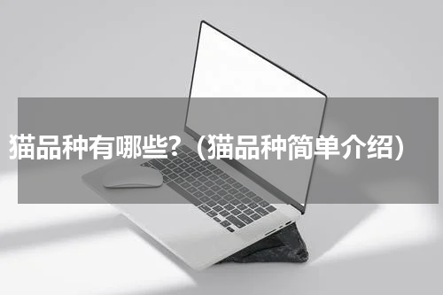 猫品种有哪些?（猫品种简单介绍）