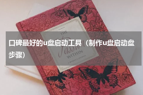 口碑最好的u盘启动工具（制作u盘启动盘步骤）