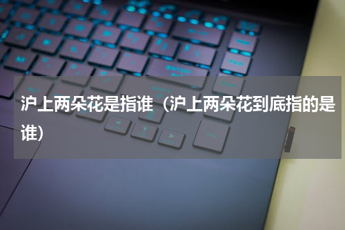 沪上两朵花是指谁（沪上两朵花到底指的是谁）