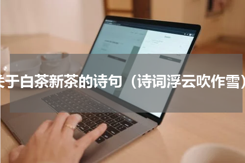 关于白茶新茶的诗句（诗词浮云吹作雪）