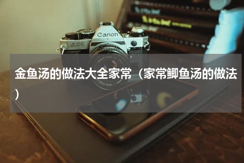 金鱼汤的做法大全家常（家常鲫鱼汤的做法）