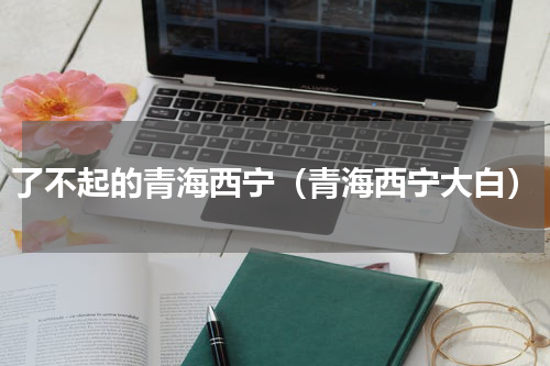 了不起的青海西宁（青海西宁大白）