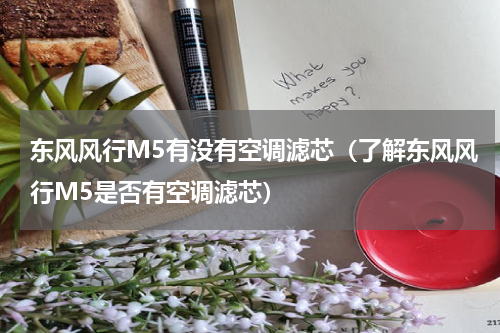 东风风行M5有没有空调滤芯（了解东风风行M5是否有空调滤芯）