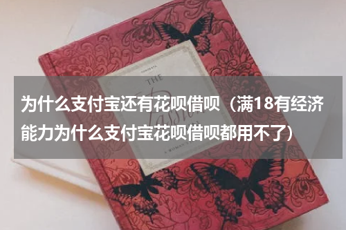 为什么支付宝还有花呗借呗（满18有经济能力为什么支付宝花呗借呗都用不了）