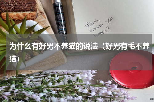 为什么有好男不养猫的说法（好男有毛不养猫）
