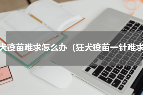 狂犬疫苗难求怎么办（狂犬疫苗一针难求）