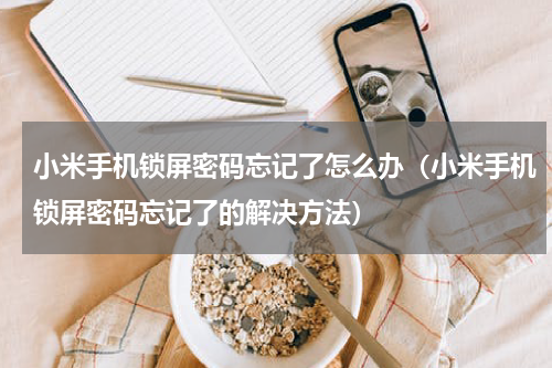 小米手机锁屏密码忘记了怎么办（小米手机锁屏密码忘记了的解决方法）