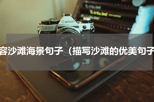 形容沙滩海景句子（描写沙滩的优美句子）