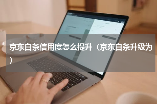 京东白条信用度怎么提升（京东白条升级为）